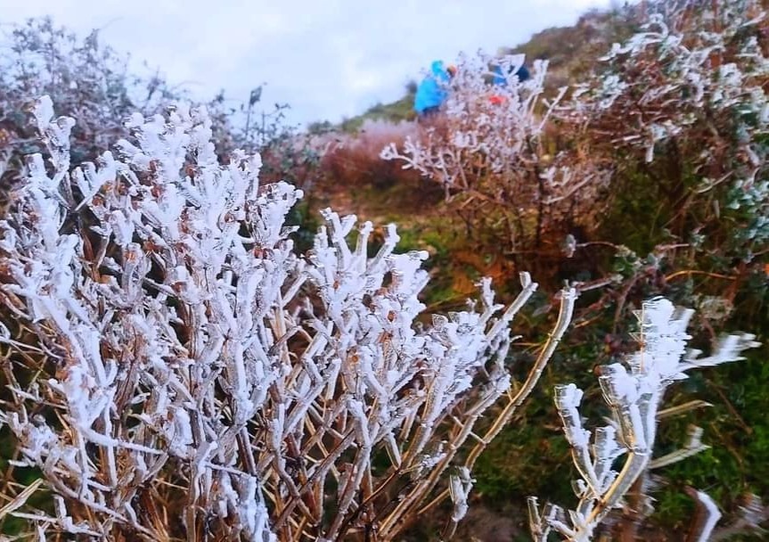 Ngày 22.12, vùng núi cao ở Bắc Bộ có khả năng xuất hiện băng giá và sương muối. Ảnh: Văn Đức
