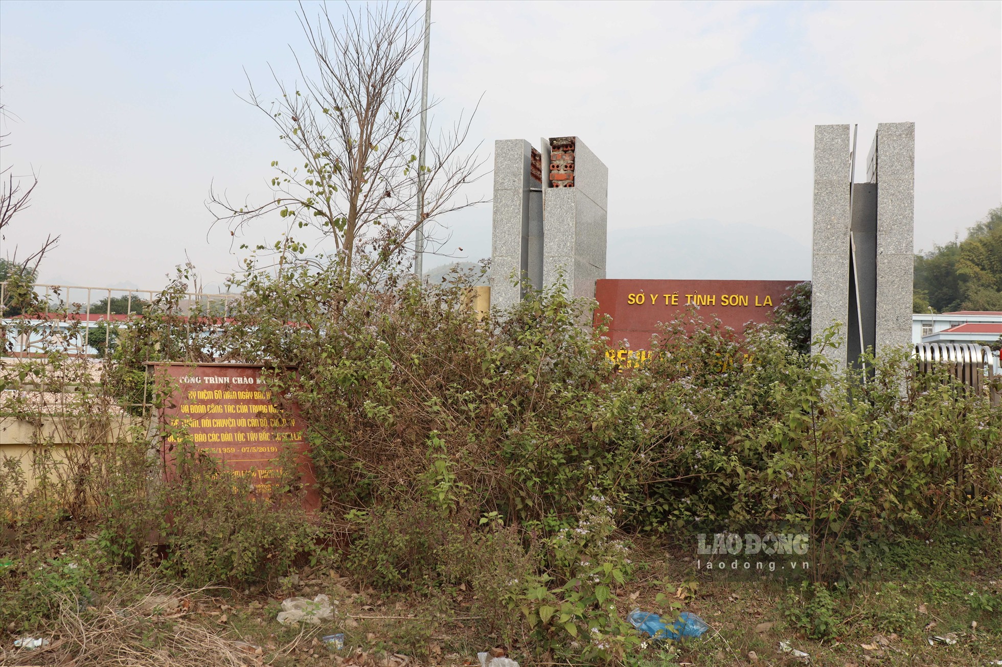 Cỏ cây mọc cao, che kín biển tên với dòng chữ “Bệnh viện đa khoa huyện Mường La”.