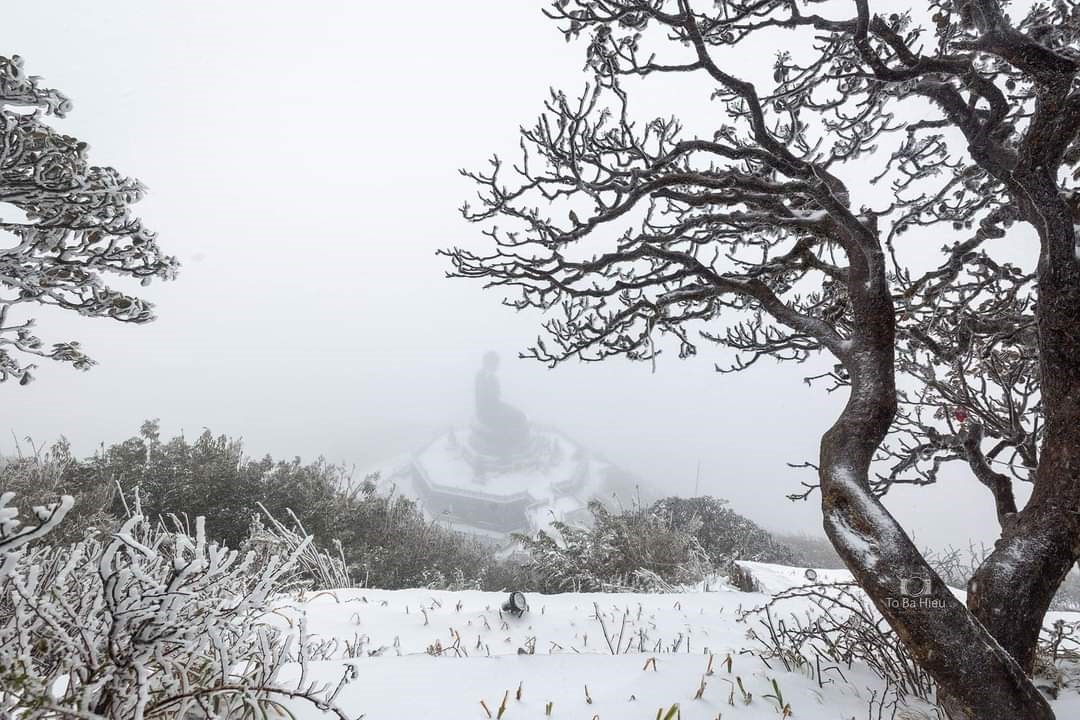 Những hình ảnh đầu tiên về mưa tuyết trên đỉnh Fansipan sáng 28.12.