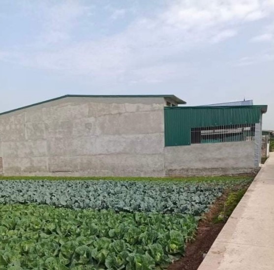 Một khu nhà xưởng kiên cố được dựng lên trên đất nông nghiệp tại xã Vân Côn. Ảnh: Hà Anh