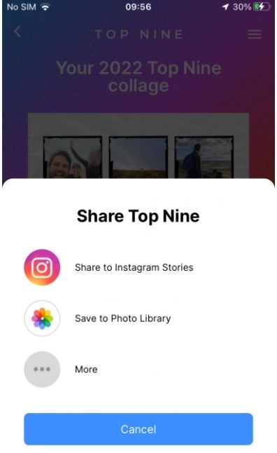 Top Nine hỗ trợ người dùng chia sẻ trực tiếp lên Instagram hoặc lưu về máy để sử dụng sau. Ảnh: Top Nine