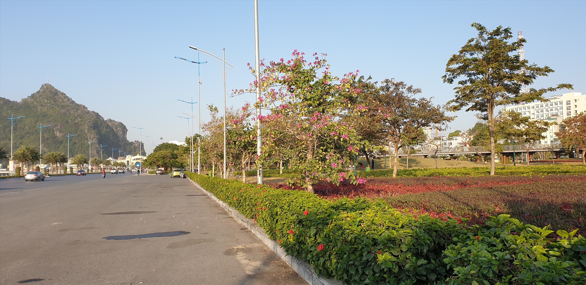 Ranh giới giữa đường và Công viên chỉ là hàng cây hoa nhỏ, thấp. Ảnh: Nguyễn Hùng