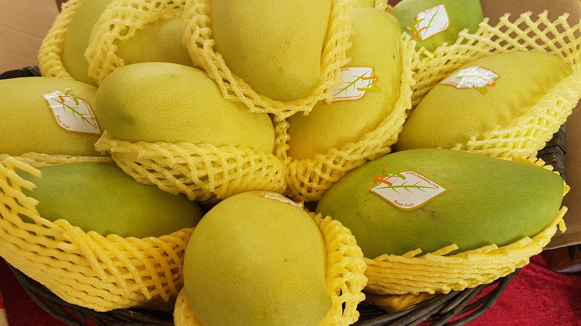 Nhiều loại trái cây của Việt Nam tiếp tục mở thêm thị trường xuất khẩu trên thế giới. Ảnh: Vũ Long