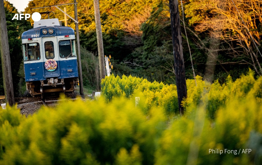 Một chuyến tàu đường sắt nông thôn Nhật Bản. Ảnh: AFP