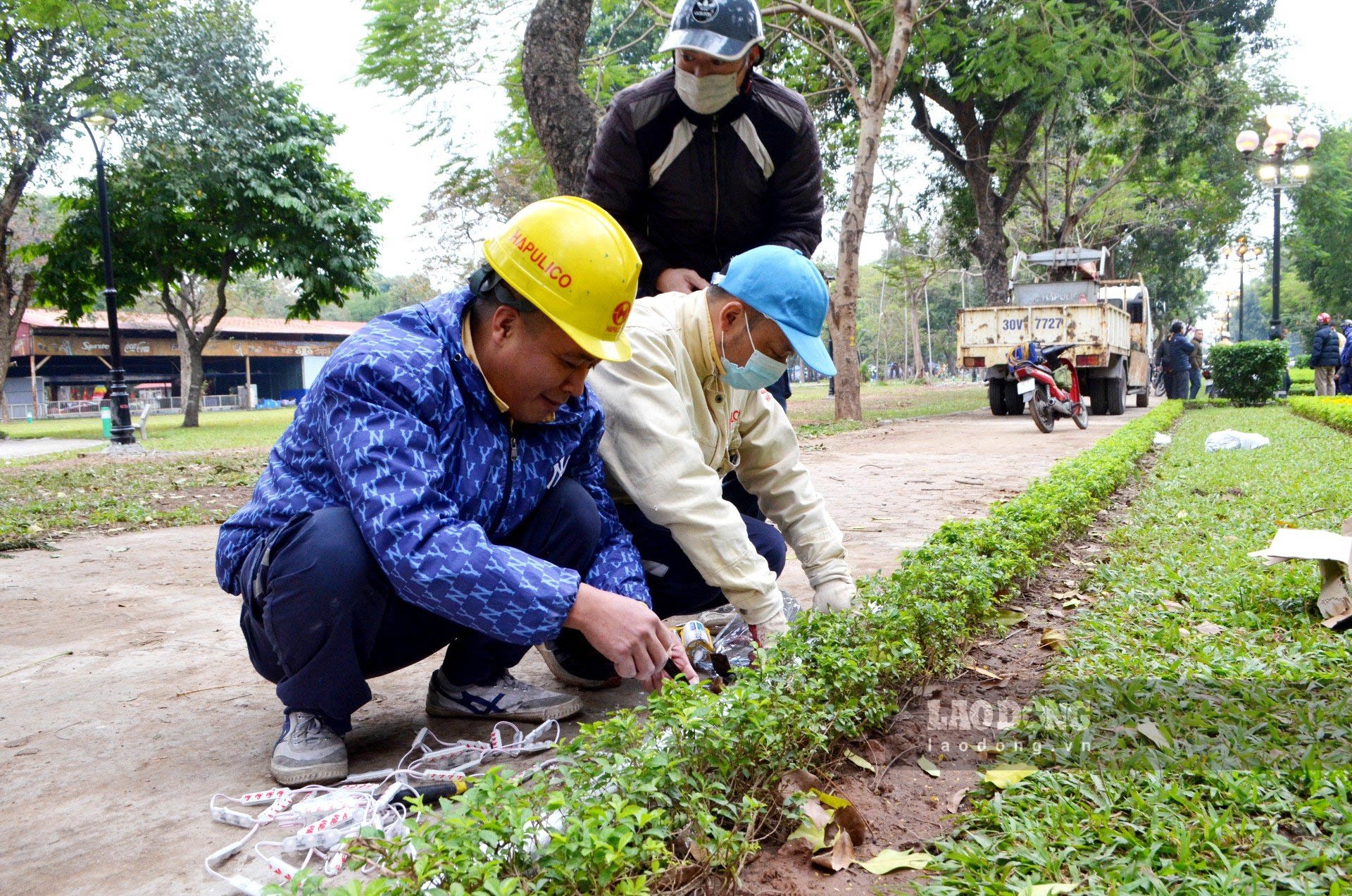 Công nhân đang tiến hành lắp đặt hệ thống đèn nháy cạnh khu vực vườn cây.