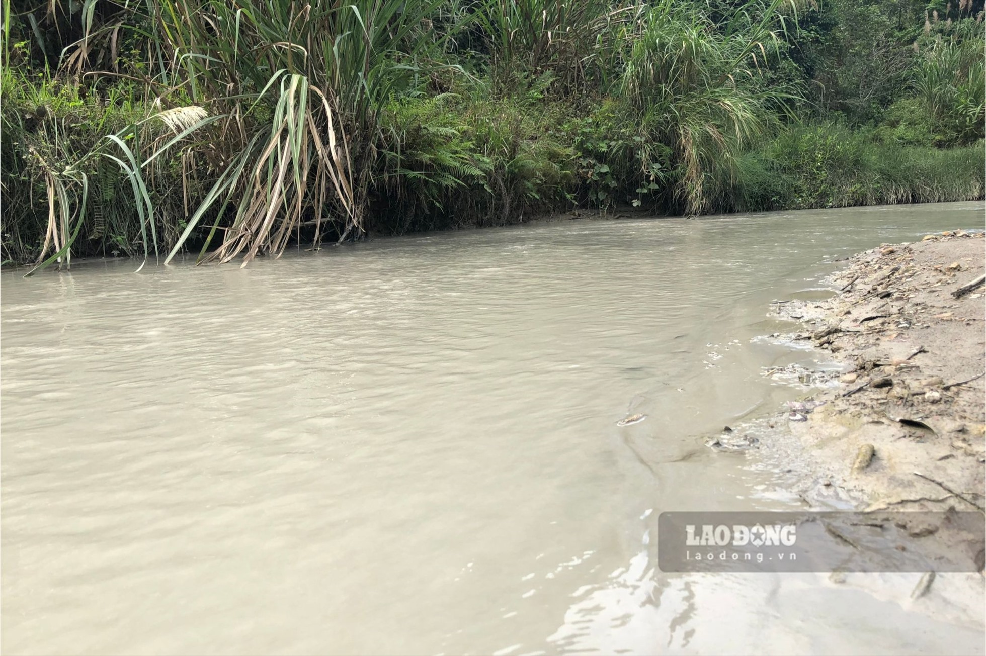 Nước sông Khau Âu đục ngầu do bùn đất, bụi đá đến từ hoạt động nghiền đá khiến con sông đang dần chết mòn do ô nhiễm. Ảnh: Nguyễn Hoàn.