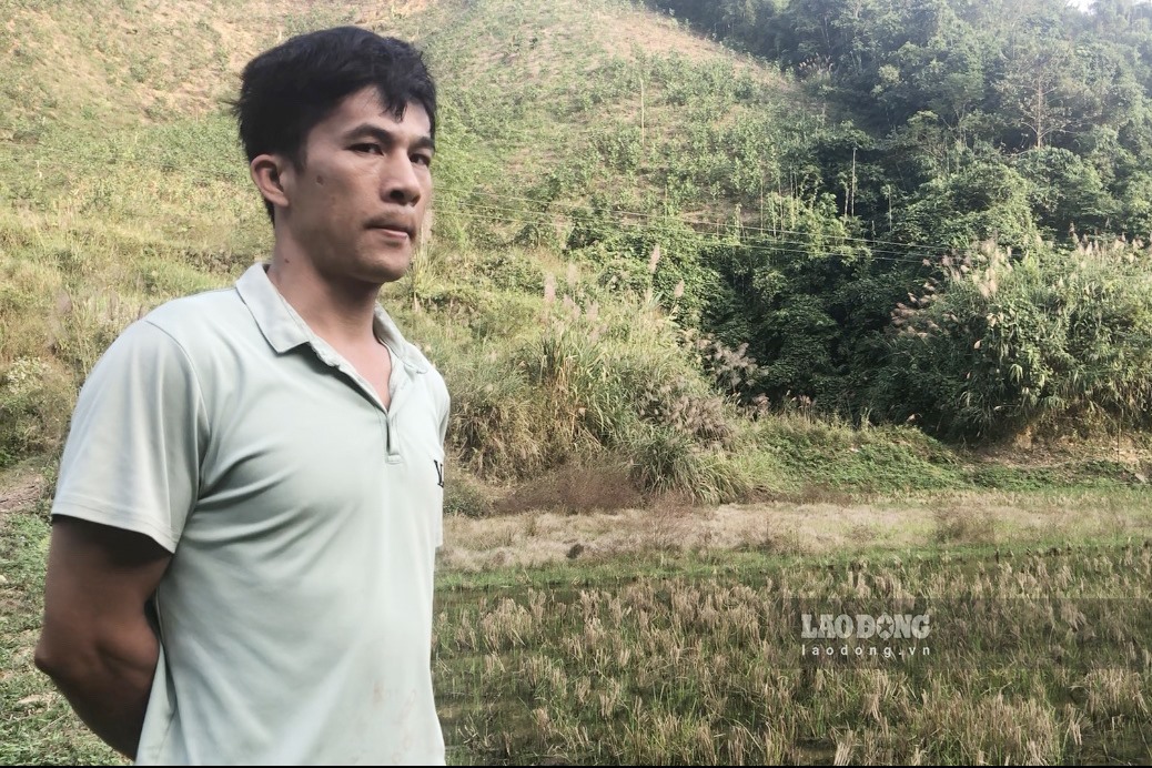 Anh Triệu Trung Thao (xóm Thượng Kim) bức xúc khi hơn 1.000 m2 ruộng lúa bị chết do bùn đất từ nước sông tràn vào, khiến gia đình anh trắng tay. Ảnh: Nguyễn Hoàn.