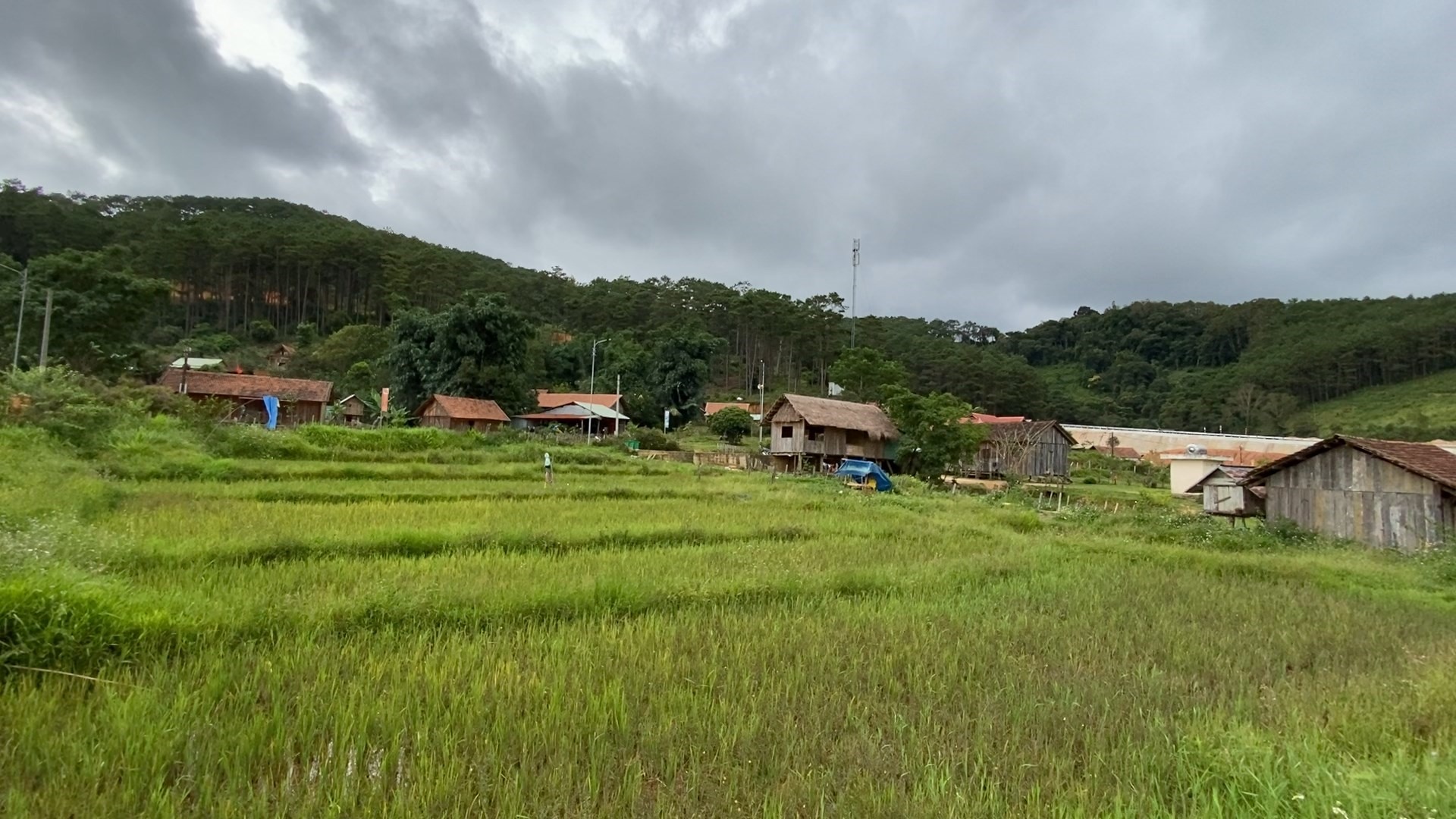 Một góc làng du lịch. Ảnh Thanh Tuấn