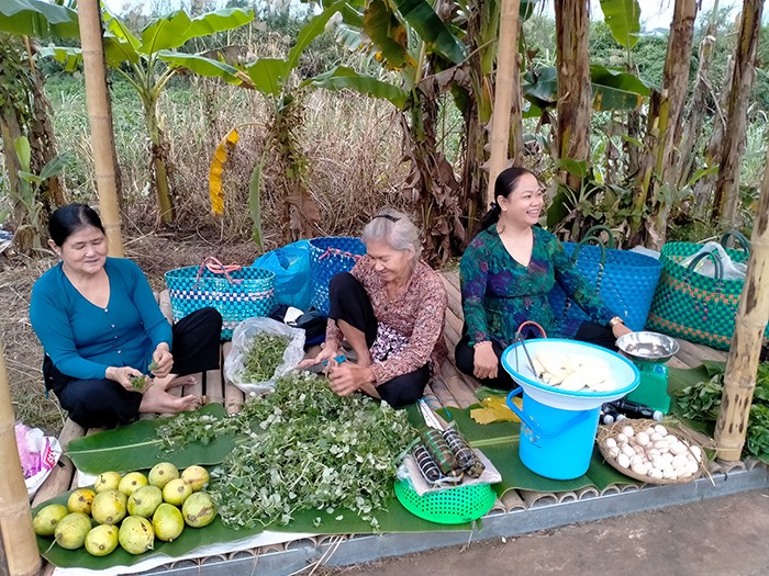 Phiên chợ bày bán những mặt hàng quê, cây nhà lá vườn đậm chất Nam bộ.