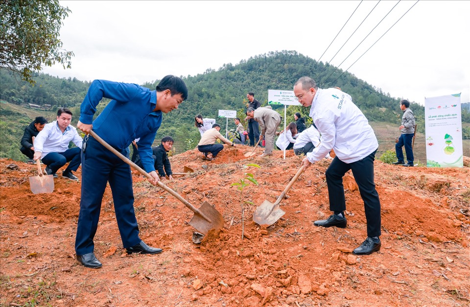 Tập đoàn Stavian và địa phương tham gia trồng cây giống tượng trưng