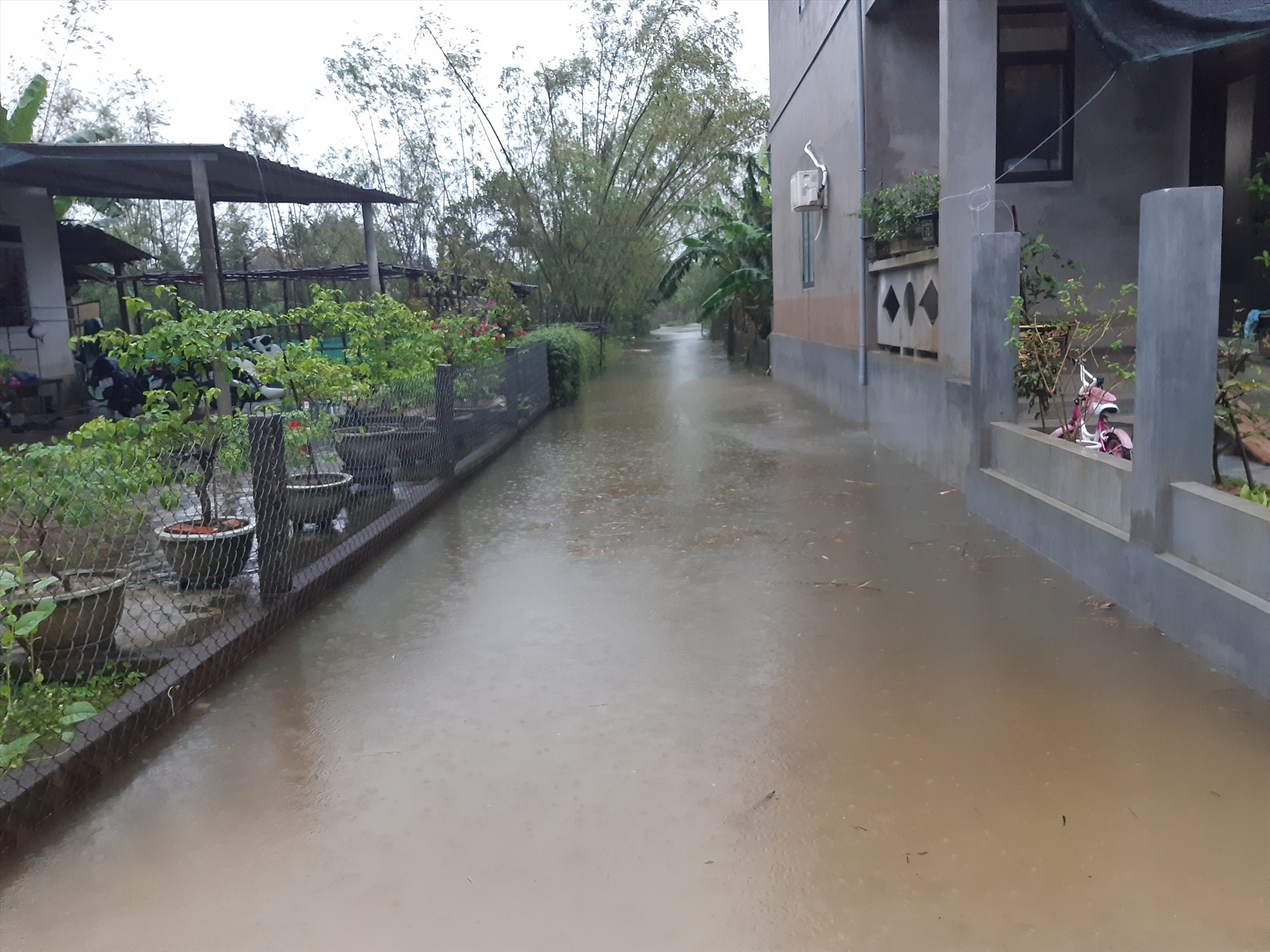 Mưa liên tục trong những ngày qua đã khiến một số vùng trũng ở huyện Quảng Điền bị ngập nhẹ.