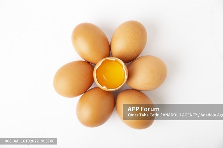 Cải thiện trí nhớ đơn giản bằng cách đưa trứng vào bữa sáng của bạn. Ảnh: AFP