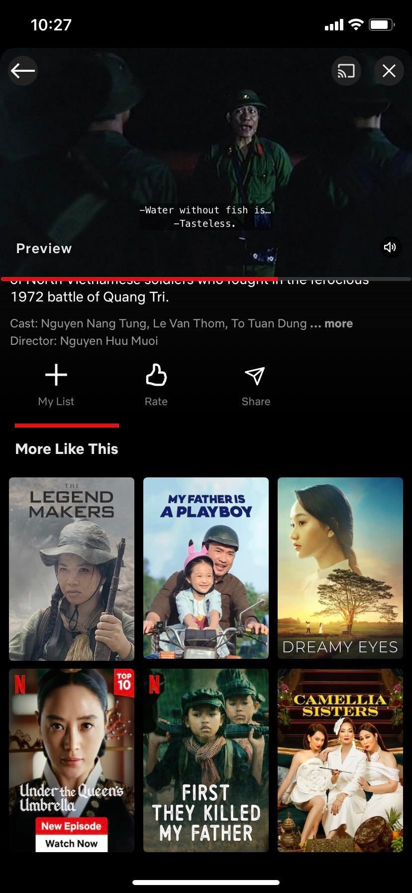 Nhiều phim Việt được bán bản quyền cho Netflix. Ảnh: Chụp màn hình
