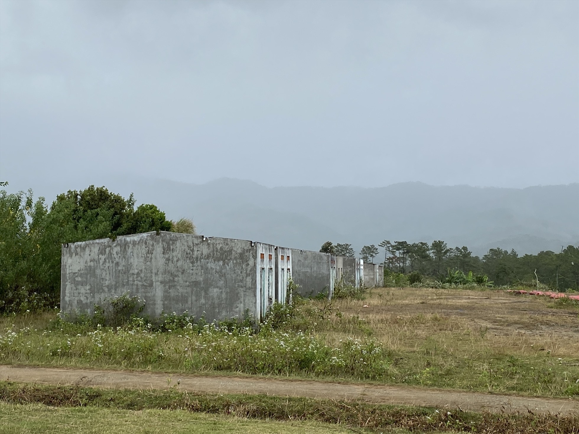 Một góc làng tái định cư bỏ hoang hơn 10 năm. Ảnh Thanh Tuấn