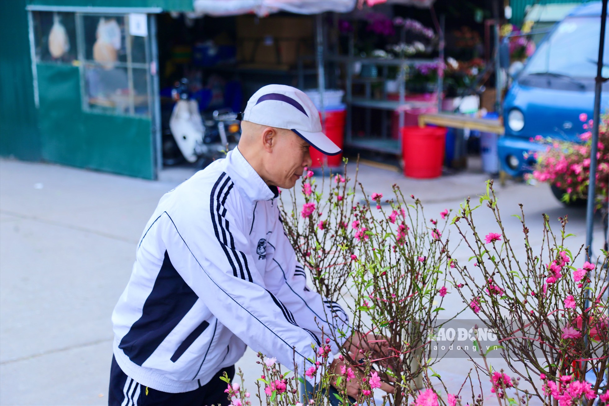Ông Phạm Bình Luận ( Tây Hồ, Hà Nội) ra chợ hoa Quảng An tìm mua đào về chơi sớm. “Đào năm nay đẹp, nhiều nụ, nhiều hoa. Có cành đào thì thấy có không khí xuân, tâm hồn vui vẻ hơn'', ông Luận cho hay.
