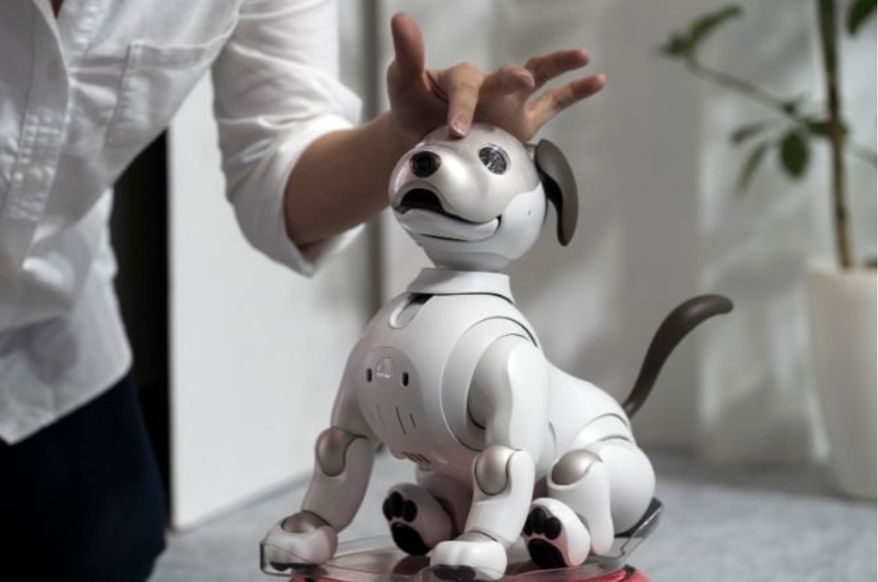 Chó robot của Sony được ra mắt vào năm 2019. Ảnh: AFP