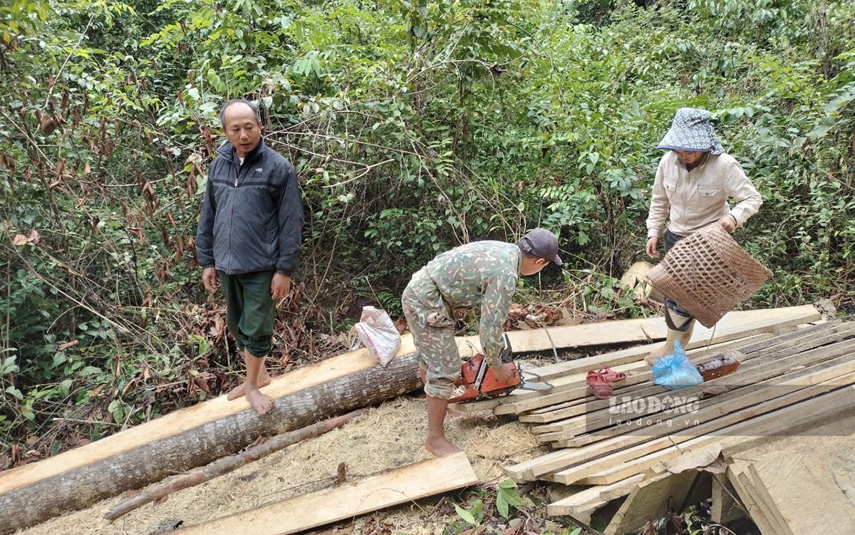 Sau đó thêm 1 người đàn ông lớn tuổi xuất hiện. Ông này cho biết 2 người kia là con của ông, họ được ông nhờ chặt cây và xẻ gỗ để đem về dựng nhà.