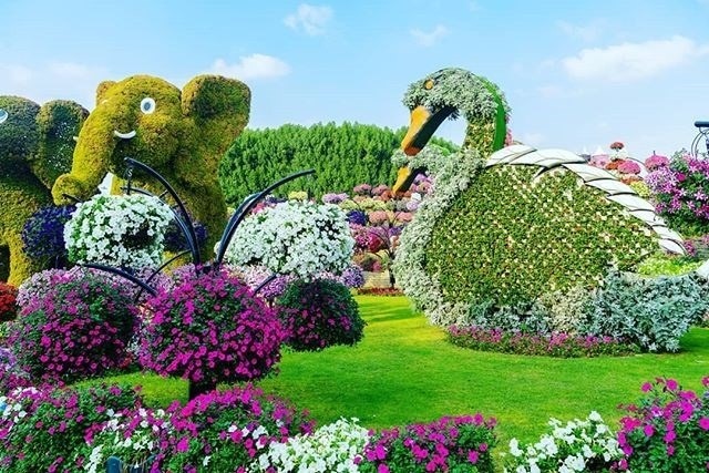 Nhiều loại hoa mới, đẹp, lạ, chăm sóc đúng kỹ thuật để hoa nở đúng dịp lễ hội và giữ được thương hiệu “Đà Lạt - Kết tinh kỳ diệu từ đất lành”. Ảnh: BLĐ