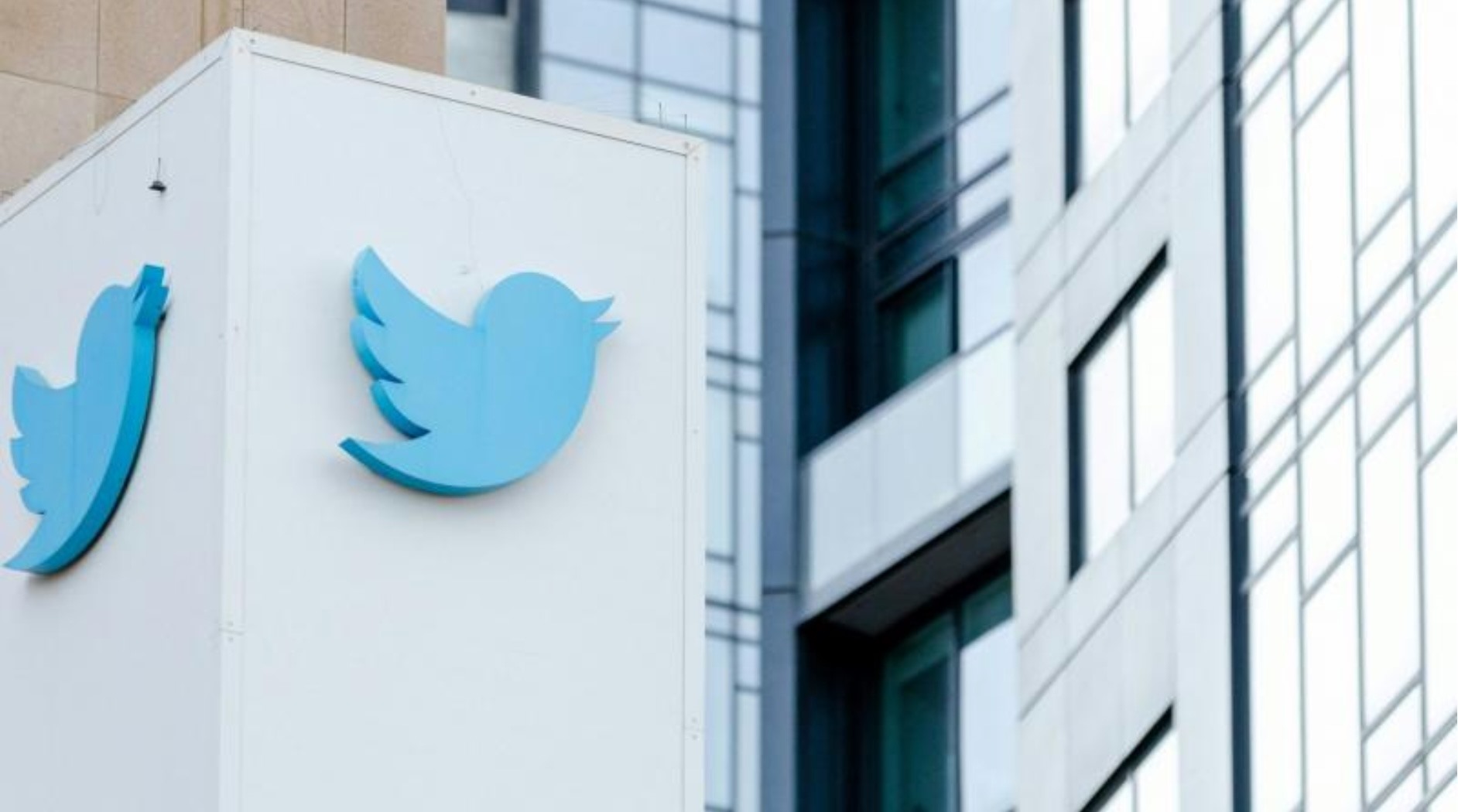 Sếp Twitter chưa nói về cách mạng xã hội chim xanh sẽ triển khai tính năng này. Ảnh: AFP