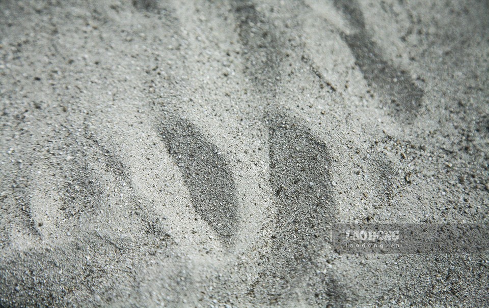 Loại cát dùng để rang hạt không phải cát thông thương mà được đào trên núi đá ở độ sâu 50-80cm.