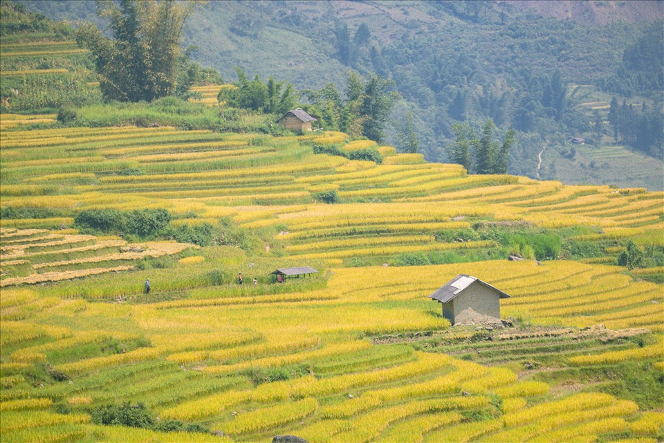 “Đây là lần đầu tiên mình được tận mắt chứng kiến cánh đồng ruộng bậc thang của Tây Bắc, nó còn xinh đẹp hơn cả trong ảnh“- Rọt hào hởi chia sẻ.