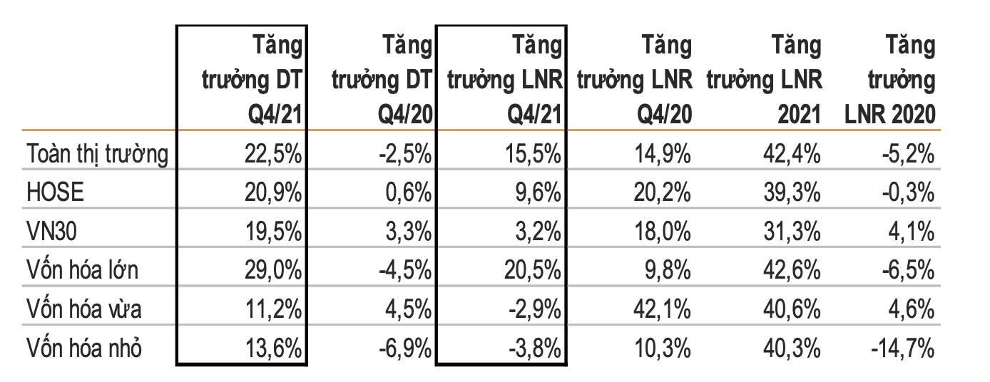 Nhóm vốn hóa lớn đã có ảnh hưởng mạnh mẽ trong Q4/21 với tăng trưởng LN đạt 20,5% svck.