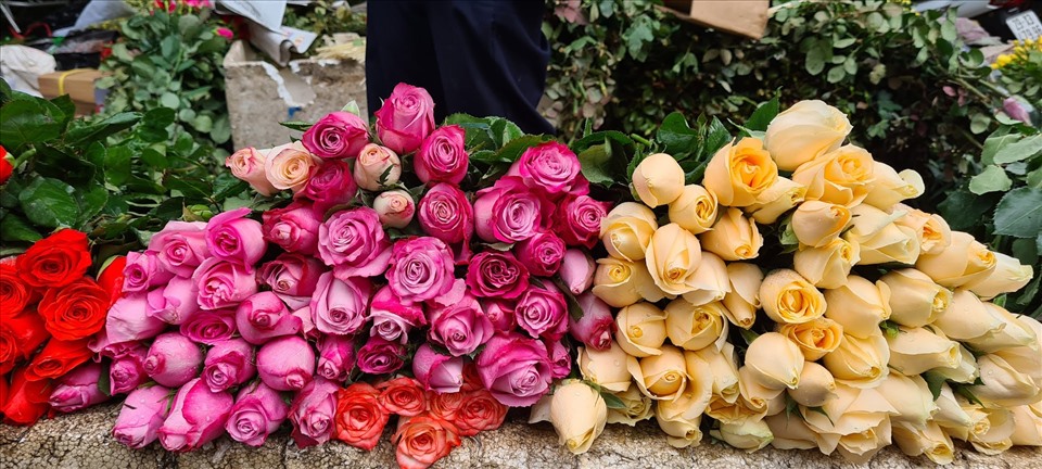 Tăng mạnh nhất là giá các loai hoa hồng giống ngoại có bông to, màu sắc và hình thức đẹp. Ảnh: Vũ Long