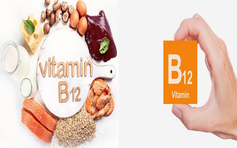 Vitamin B12: Đây là vitamin rất cần thiết cho sự phát triển của tóc. Vitamin này thường được tìm thấy trong bơ sữa, cá và trứng. Thiếu vitamin B12 là một trong những lý do có thể khiến tóc bạc sớm.