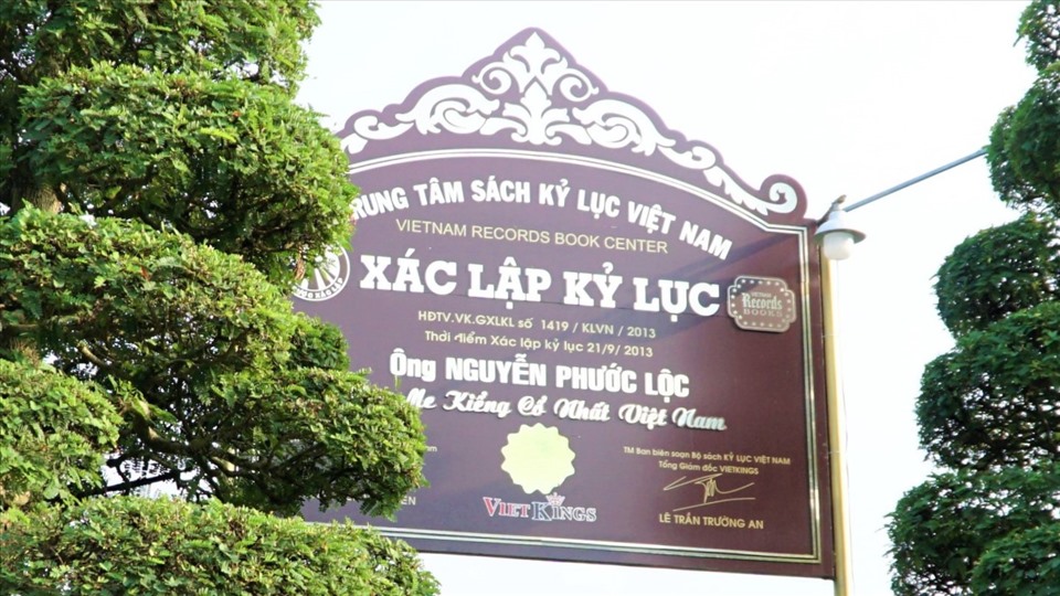 Năm 2013, cặp me của ông Lộc đã được Trung tâm sách kỷ lục Việt Nam xác lập kỷ lục “Cặp me kiểng cổ nhất Việt Nam“.