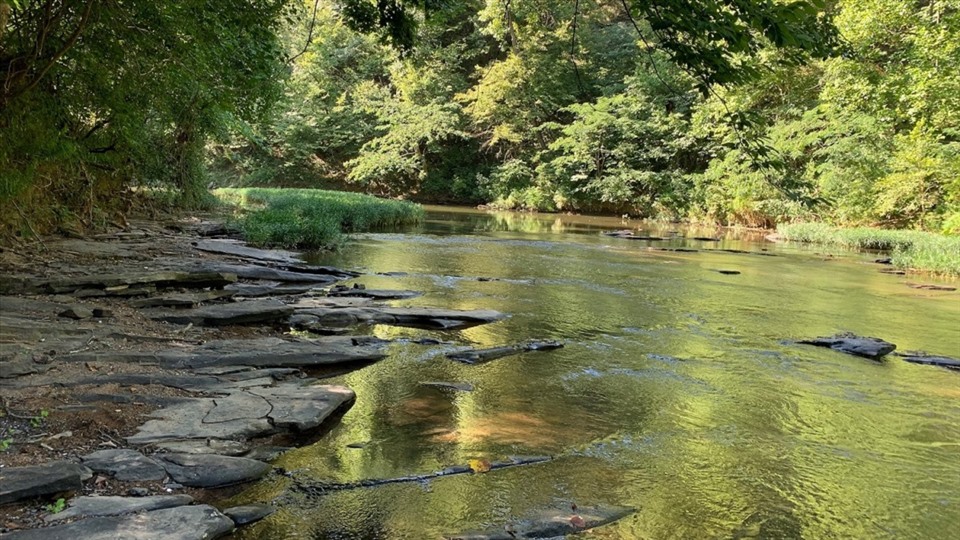 Công viên hoang dã Cahaba River tại Alabama.