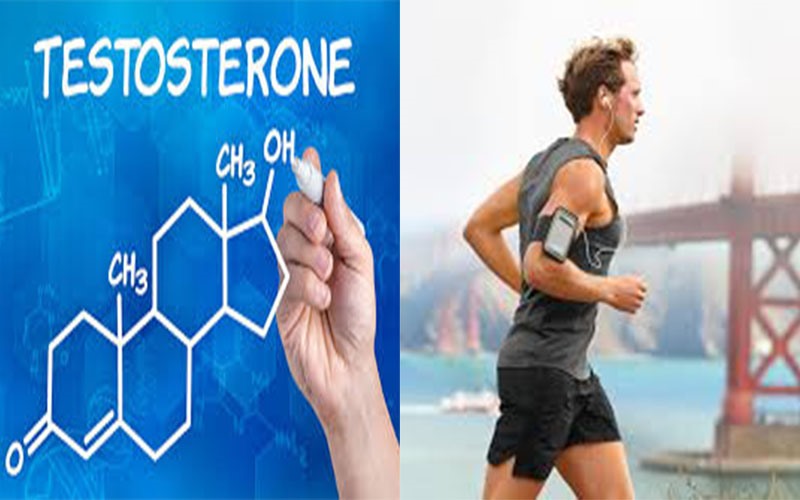 Chơi thể thao: Mức testosterone ở nam giới tăng lên đáng kể sau khi chơi thể thao. Ngoài ra chơi thể thao cũng giúp kích thích các phản ứng hóa học trong não khiến bạn cảm thấy hạnh phúc và tự tin hơn. Các chuyên gia khuyên nên tập thể dục 30 phút mỗi ngày để đạt hiệu quả tốt nhất.