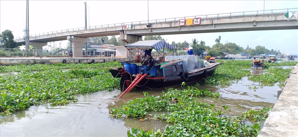 Nhờ hệ thống cống, đập điều tiết nước, các tỉnh miền Tây đã kiểm soát được mặn xâm nhập sâu vào đất liền. Ảnh: Nhật Hồ