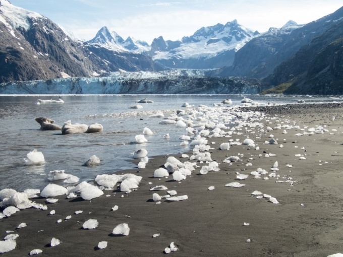 Bãi biển Prince William Sound, Alaska. Ảnh: Bucket list