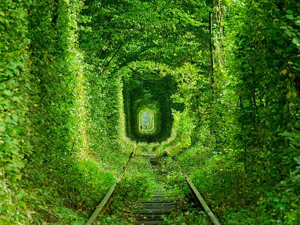 Con đường tình yêu (Tennel of love) là địa điểm không thể bỏ qua khi bạn đến du lịch tại Ukraina. Đây vốn là một đường hầm nằm tại thành phố Klevan của Ukraina.