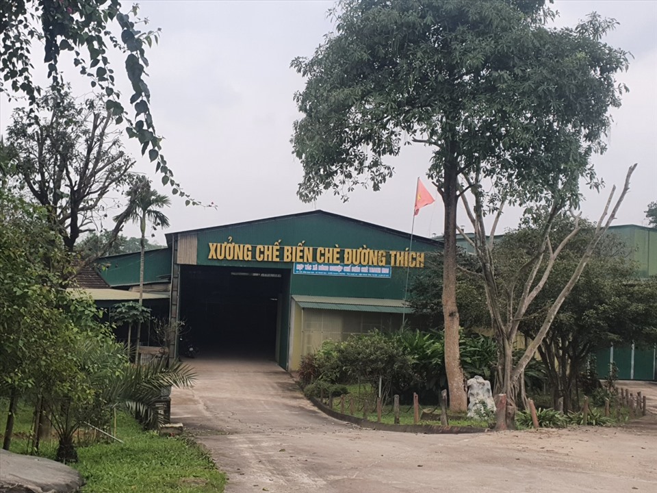 Một xưởng chế biến chè trên địa bàn xã Thanh Mai cũng xây dựng nhà xưởng khi chưa hoàn thành các thủ tục pháp lý về đất đai. Ảnh: Phạm Thông