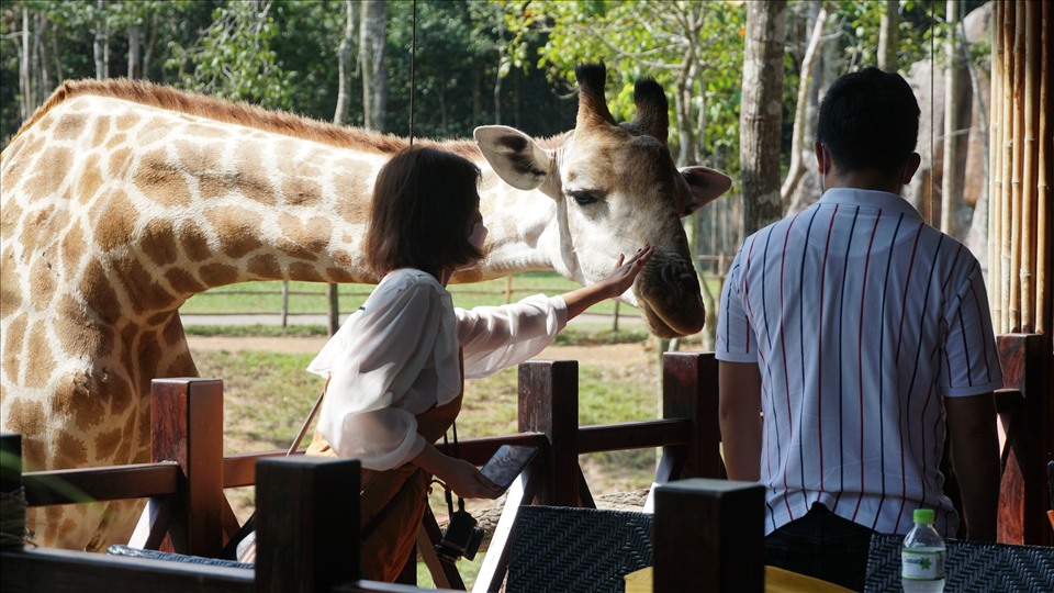 Du khách có thể tham quan cả 2 khu vực riêng biệt là: công viên động vật hoang dã (Safari park) và vườn thú mở (Open zoo).