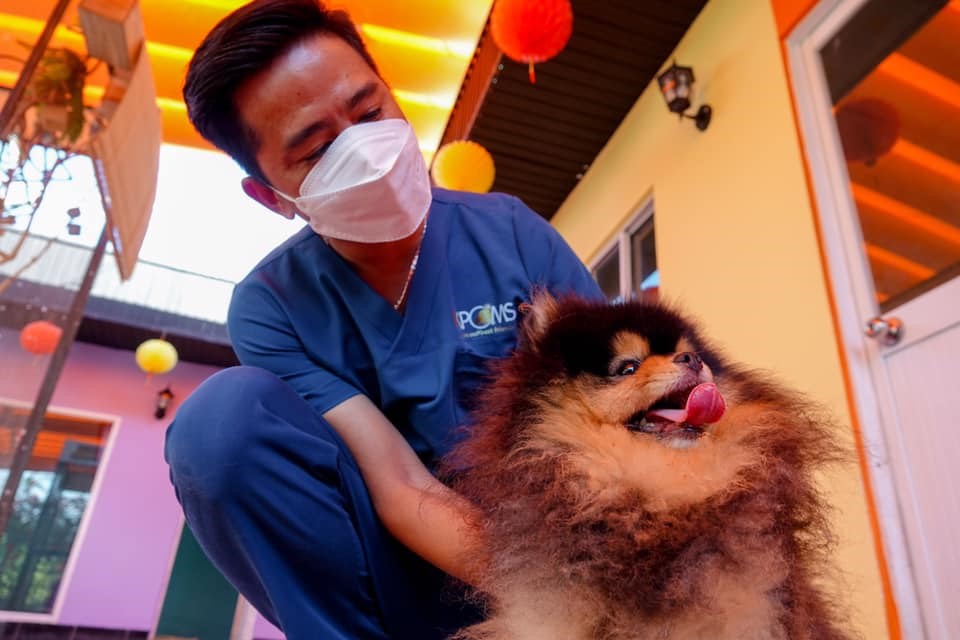 Anh Khang chia sẻ thêm, giai đoạn đầu thành lập trại chó, anh gặp không ít những khó khăn trong việc chăm sóc như về môi trường, nhiệt độ và sai sót việc cung cấp dinh dưỡng khiến nhiều chú chó bị chết.