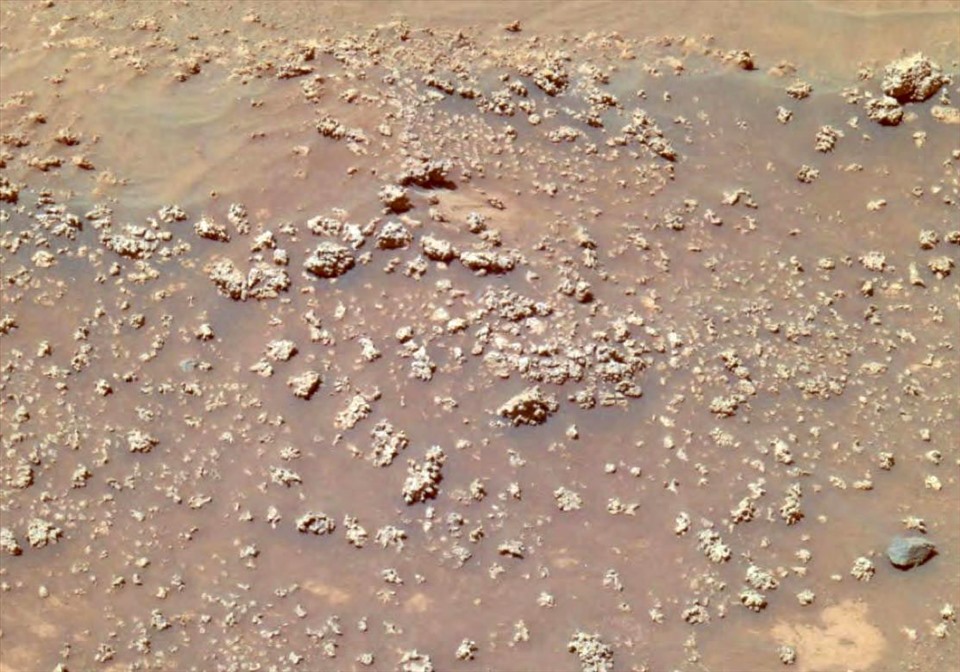 Tảng đá sao Hỏa “súp lơ” được tàu thám hiểm Spirit chụp năm 2008 ở miệng núi lửa Gusev. Ảnh: NASA