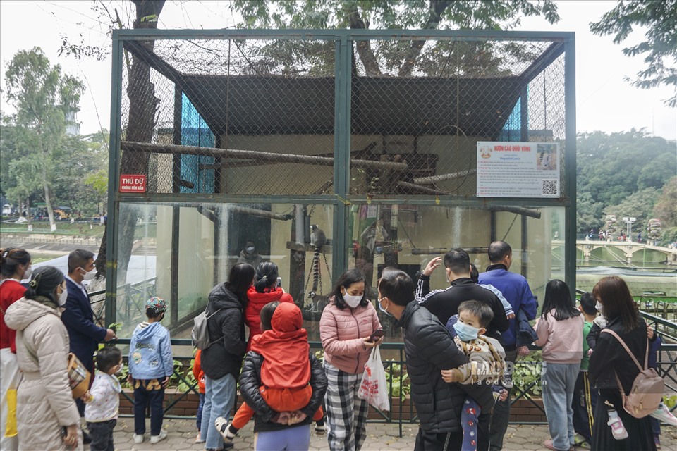 Gần trưa, dòng người đổ về công viên vẫn khá đông đúc. Không chỉ các gia đình ở Hà Nội, mà ở các tỉnh lân cận cũng lựa chọn vườn thú là địa điểm vui chơi cho con em mình.