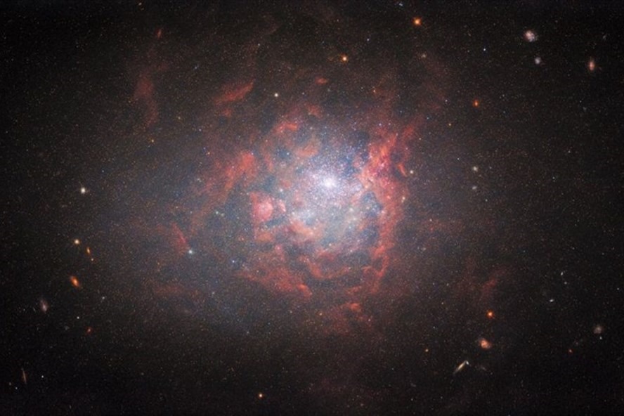 Trong một hình ảnh mới do kính viễn vọng không gian Hubble chụp, thiên hà lùn NGC 1705 tỏa sáng trong một đám mây sáng rực rỡ và những đám mây màu đỏ. Thiên hà nhỏ bé có hình dạng bất thường, nằm trong chòm sao Pictor cách Trái đất khoảng 17 triệu năm ánh sáng. Thiên hà này được Cơ quan Vũ trụ Châu Âu (ESA) mô tả là kỳ quặc. Gần đây, NGC 1705 đã trải qua một giai đoạn được gọi là “bùng nổ sao” (starburst), nghĩa là đang trải qua quá trình hình thành sao với tốc độ cao bất thường. Ảnh: ESA/Hubble & NASA, R. Chandar