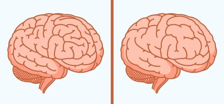 Thói quen giảm cân quá nghiêm ngặt cũng gây hại cho não bộ. Hãy duy trì chế độ ăn uống hợp lí, không nên nhịn ăn hay loại bỏ hoàn toàn các loại thực phẩm yêu thích của bản thân.