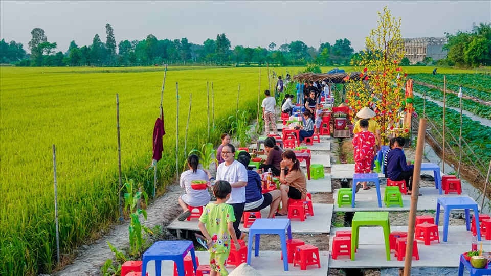 Những ngày giáp Tết và sau Tết Nguyên đán 2022, nhiều người miền Tây rỉ tai nhau một quán ăn có view cánh đồng lúa xanh ngát được bày bán ở khoảng đất trống giữa đồng.