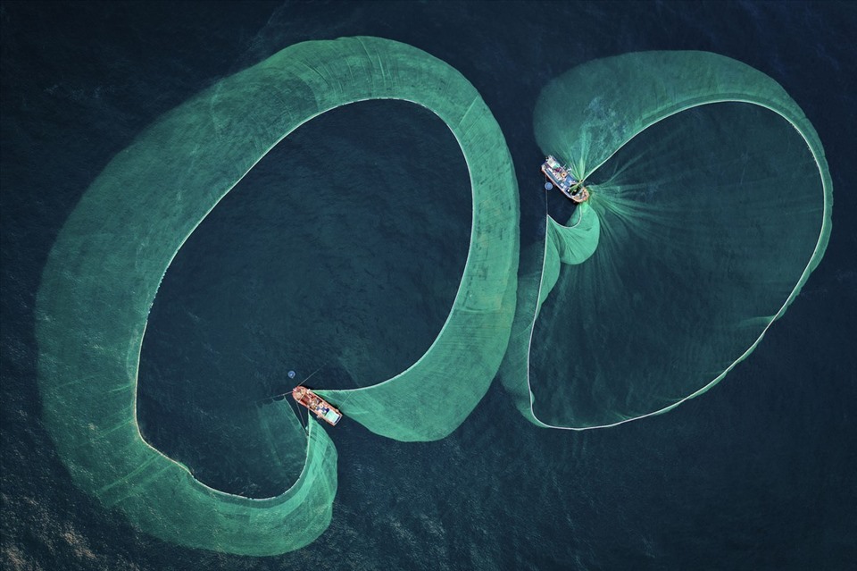Tác phẩm “Mùa đánh bắt cá cơm” (Ảnh: Underwater Photographer of the Year)