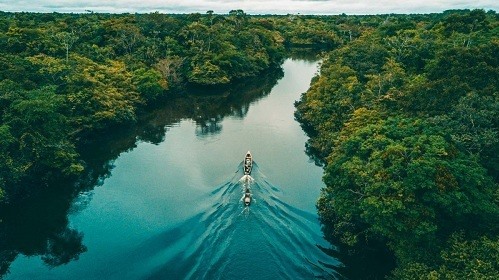 Sông Amazon. Ảnh: Pinterest