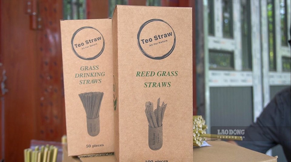 Nhãn hiệu sản phẩm ống hút cỏ mang cái tên rất “cute” là Tèo Straw đến từ chàng trai 9x Huỳnh Văn No, người yêu thiên nhiên và có tư duy sống “xanh“.