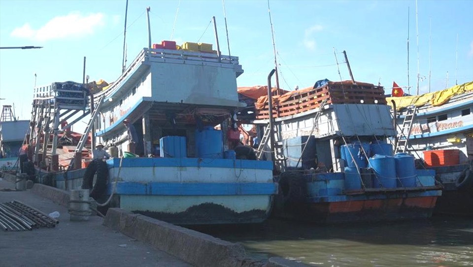 Xăng dầu tăng giá cao, nhiều tàu cá thua lỗ phải nằm bờ kéo theo rất nhiều ngành nghề cũng bị ảnh hưởng. Ảnh: PV