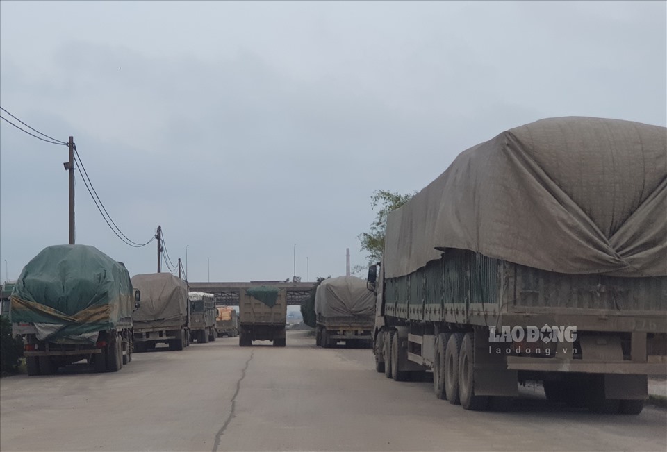 Đoàn xe tải xếp hàng dài trên đê sông Đáy tại khu vực Cảng Phúc Lộc. Ảnh: NT