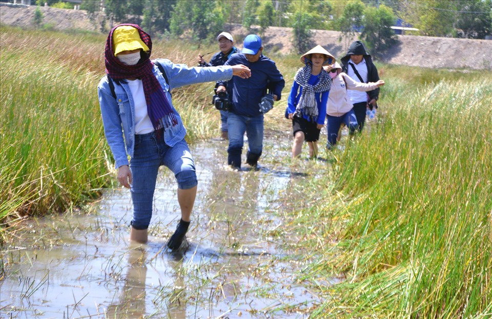 Nhưng đã thu hút du khách từ khắp nơi tìm đến khám phá. Ảnh: LT