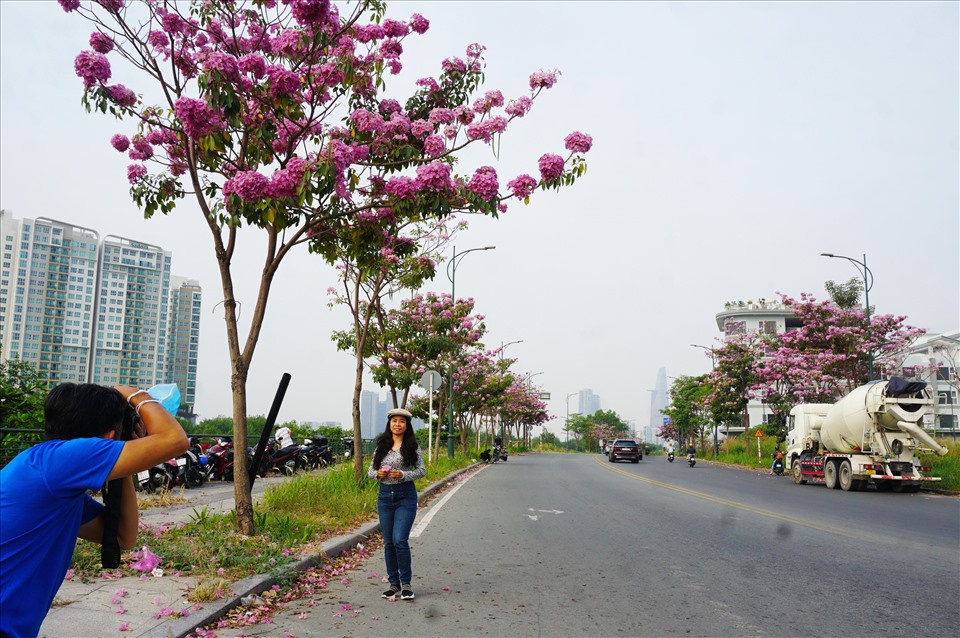 Người đi đường tranh thủ check-in với hoa kèn hồng đang nở rực trên đường Tố Hữu.