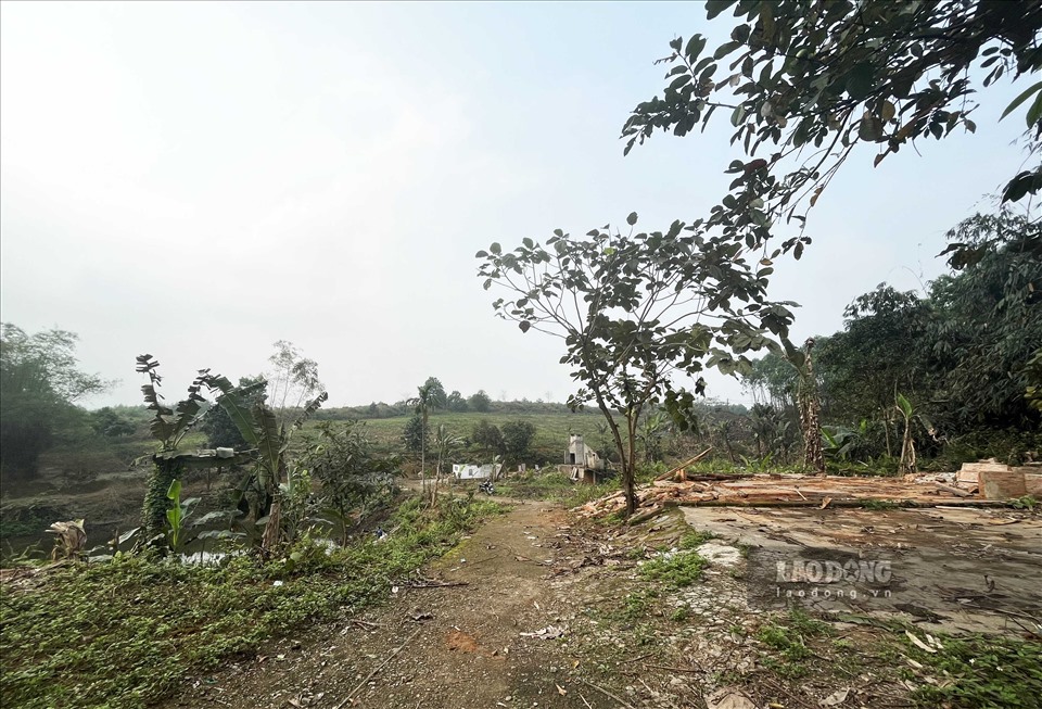 Khu đất dự kiến xây dựng nhà máy luyện chì kẽm của Công ty Tây Đô tại KCN Long Bình An vẫn chỉ là cáo ao nước và quả đồi trơ trọi.